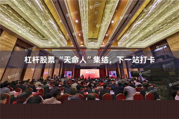杠杆股票 “天命人”集结，下一站打卡