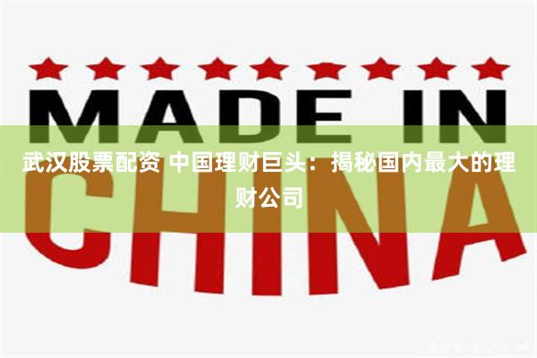 武汉股票配资 中国理财巨头：揭秘国内最大的理财公司