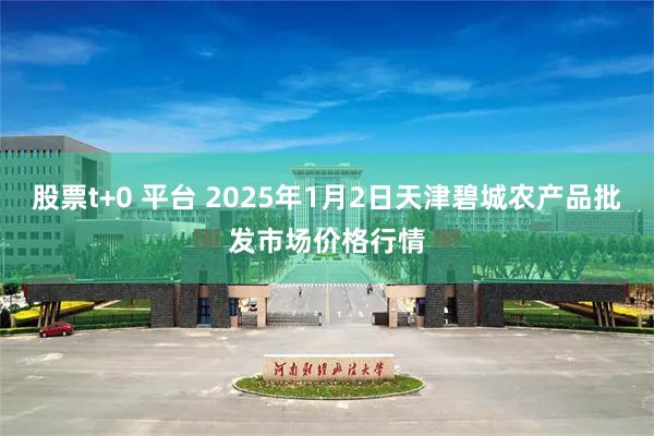 股票t+0 平台 2025年1月2日天津碧城农产品批发市场价格行情