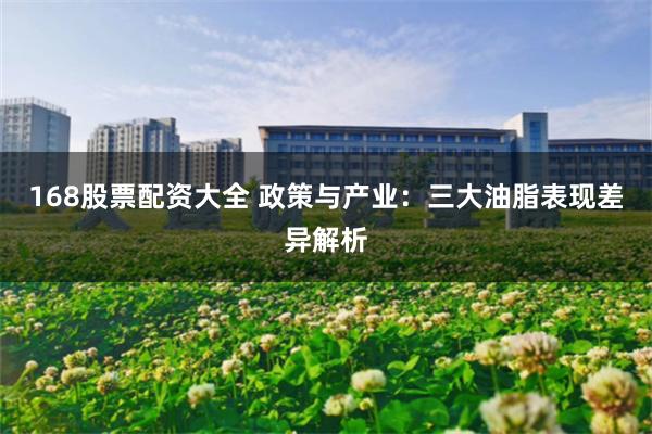 168股票配资大全 政策与产业：三大油脂表现差异解析
