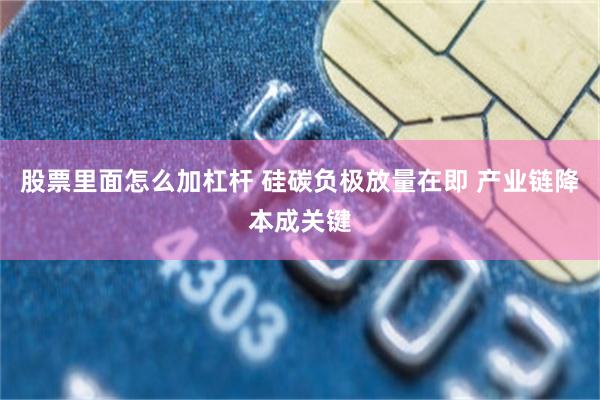 股票里面怎么加杠杆 硅碳负极放量在即 产业链降本成关键