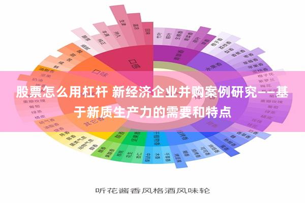 股票怎么用杠杆 新经济企业并购案例研究——基于新质生产力的需要和特点