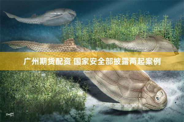 广州期货配资 国家安全部披露两起案例
