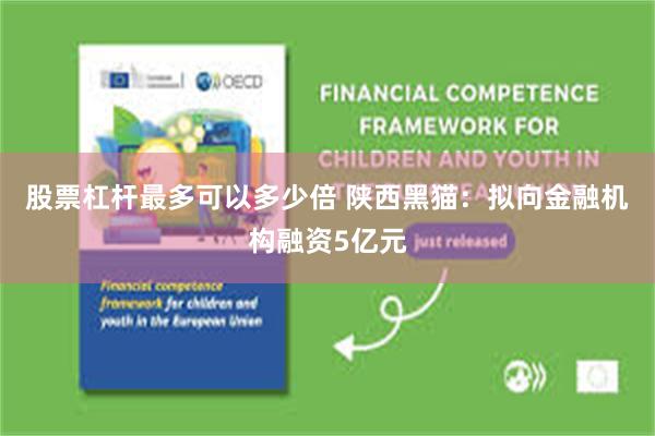 股票杠杆最多可以多少倍 陕西黑猫：拟向金融机构融资5亿元