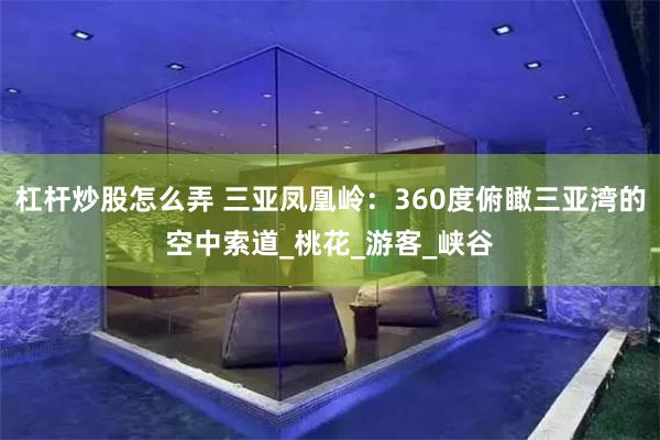 杠杆炒股怎么弄 三亚凤凰岭：360度俯瞰三亚湾的空中索道_桃花_游客_峡谷
