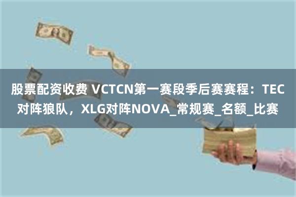 股票配资收费 VCTCN第一赛段季后赛赛程：TEC对阵狼队，XLG对阵NOVA_常规赛_名额_比赛