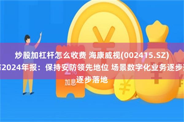 炒股加杠杆怎么收费 海康威视(002415.SZ)发布2024年报：保持安防领先地位 场景数字化业务逐步落地