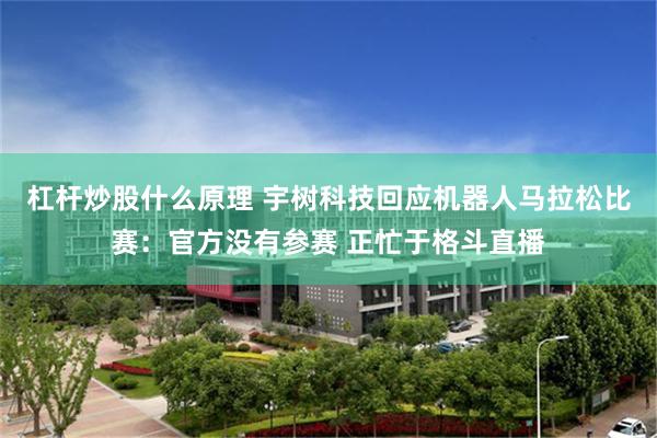 杠杆炒股什么原理 宇树科技回应机器人马拉松比赛：官方没有参赛 正忙于格斗直播