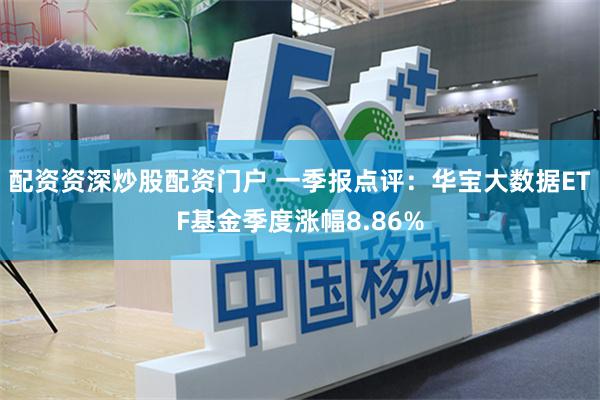 配资资深炒股配资门户 一季报点评：华宝大数据ETF基金季度涨幅8.86%