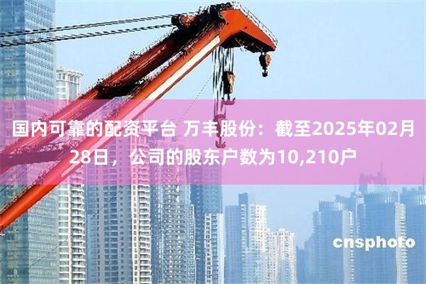 国内可靠的配资平台 万丰股份：截至2025年02月28日，公司的股东户数为10,210户