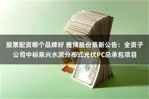 股票配资哪个品牌好 雅博股份最新公告：全资子公司中标泉兴水泥分布式光伏PC总承包项目