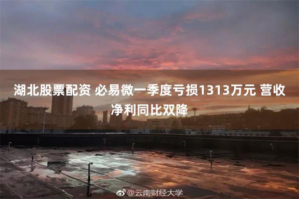 湖北股票配资 必易微一季度亏损1313万元 营收净利同比双降