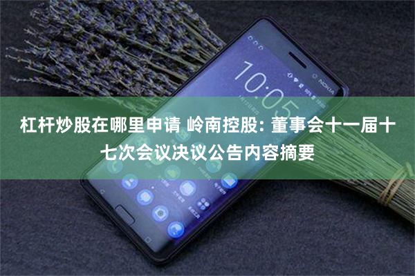 杠杆炒股在哪里申请 岭南控股: 董事会十一届十七次会议决议公告内容摘要