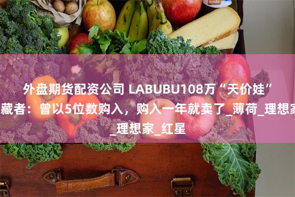 外盘期货配资公司 LABUBU108万“天价娃”早期收藏者：曾以5位数购入，购入一年就卖了_薄荷_理想家_红星