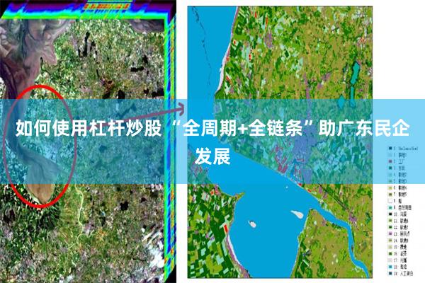 如何使用杠杆炒股 “全周期+全链条”助广东民企发展