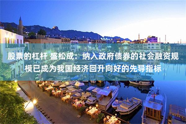 股票的杠杆 盛松成：纳入政府债券的社会融资规模已成为我国经济回升向好的先导指标