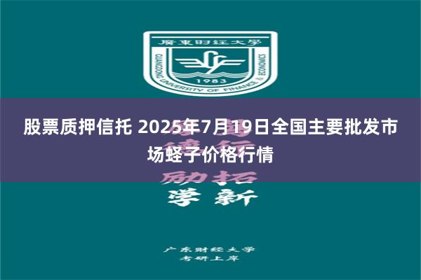 股票质押信托 2025年7月19日全国主要批发市场蛏子价格行情