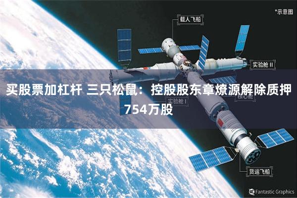 买股票加杠杆 三只松鼠：控股股东章燎源解除质押754万股