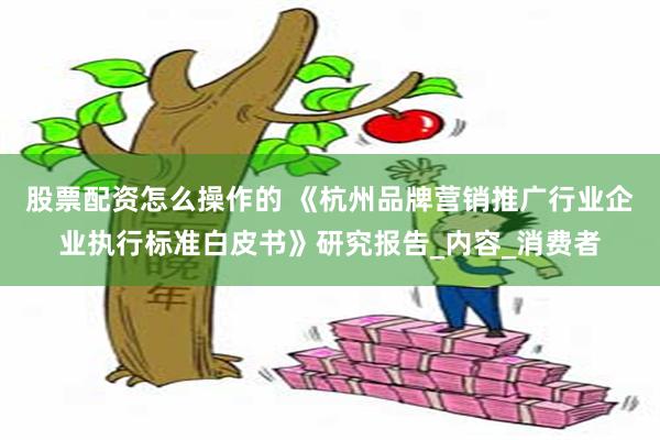 股票配资怎么操作的 《杭州品牌营销推广行业企业执行标准白皮书》研究报告_内容_消费者