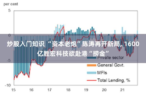 炒股入门知识 “资本老炮”陈涛再开新局, 1600亿胜宏科技欲赴港“捞金”