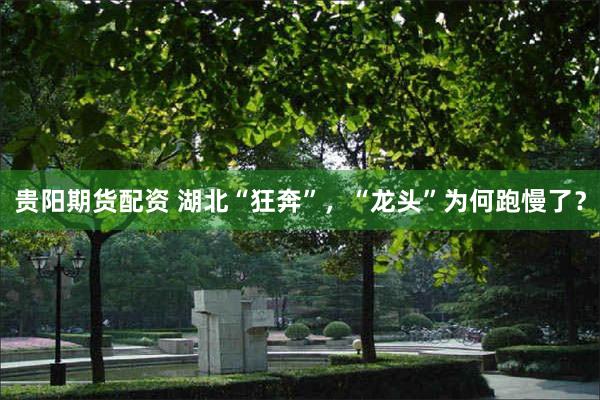 贵阳期货配资 湖北“狂奔”，“龙头”为何跑慢了？