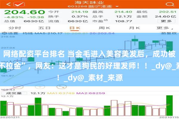 网络配资平台排名 当金毛进入美容美发后，成功被爆改“拉不拉金”，网友：这才是狗民的好理发师！！_dy@_素材_来源