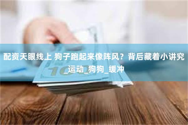 配资天眼线上 狗子跑起来像阵风？背后藏着小讲究_运动_狗狗_缓冲