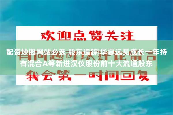 配资炒股网站必选 股东追踪|华夏远见成长一年持有混合A等新进汉仪股份前十大流通股东