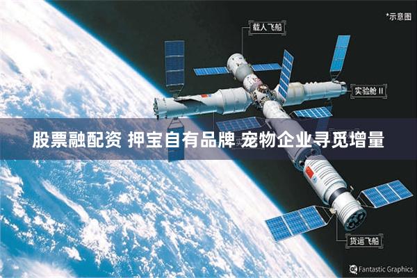 股票融配资 押宝自有品牌 宠物企业寻觅增量
