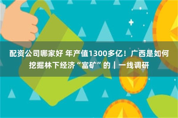 配资公司哪家好 年产值1300多亿！广西是如何挖掘林下经济“富矿”的｜一线调研