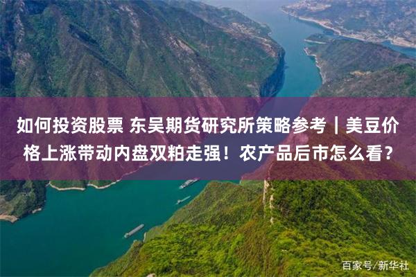 如何投资股票 东吴期货研究所策略参考|美豆价格上涨带动内盘双粕走强!农产品后市怎么看?