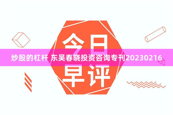 炒股的杠杆 东吴春晓投资咨询专刊20230216