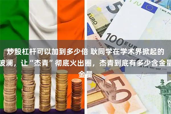 炒股杠杆可以加到多少倍 耿同学在学术界掀起的波澜，让“杰青”彻底火出圈，杰青到底有多少含金量