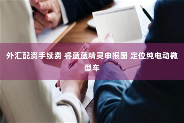 外汇配资手续费 睿蓝蓝精灵申报图 定位纯电动微型车