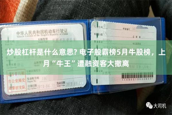 炒股杠杆是什么意思? 电子股霸榜5月牛股榜，上月“牛王”遭融资客大撤离