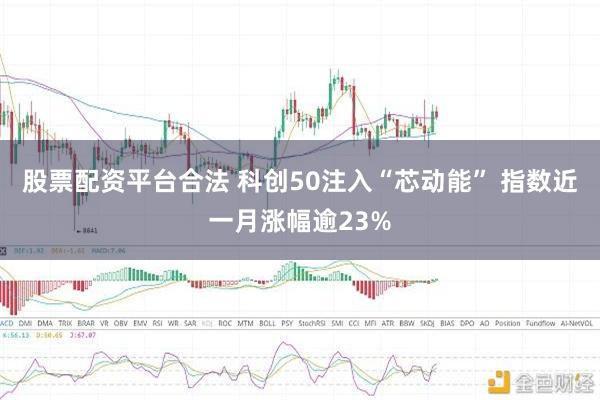 股票配资平台合法 科创50注入“芯动能” 指数近一月涨幅逾23%