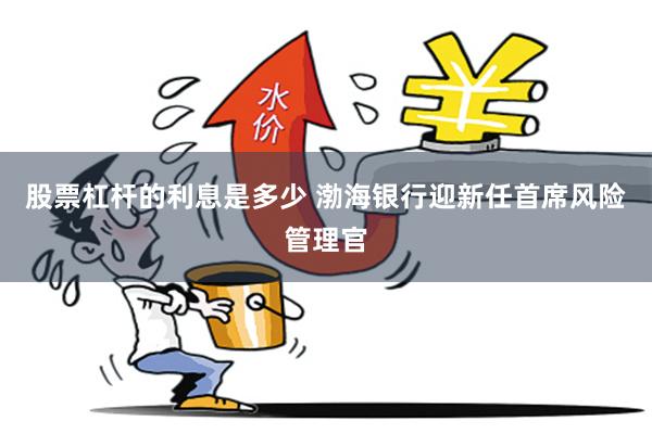 股票杠杆的利息是多少 渤海银行迎新任首席风险管理官