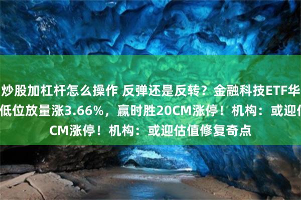 炒股加杠杆怎么操作 反弹还是反转？金融科技ETF华宝(159851)低位放量涨3.66%，赢时胜20CM涨停！机构：或迎估值修复奇点
