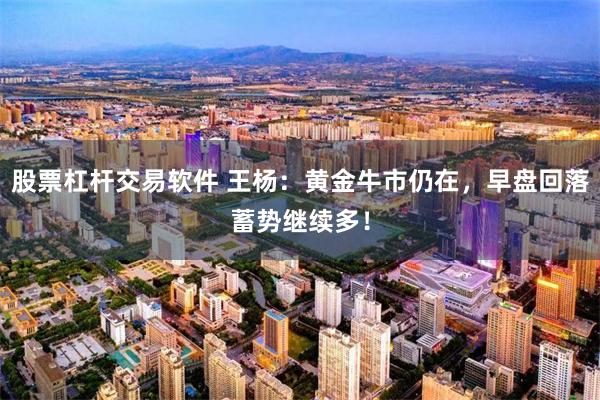 股票杠杆交易软件 王杨：黄金牛市仍在，早盘回落蓄势继续多！