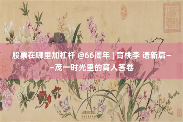 股票在哪里加杠杆 @66周年 | 育桃李 谱新篇——茂一时光里的育人答卷