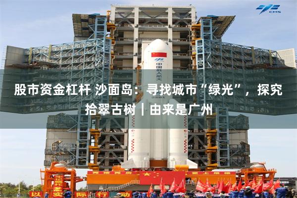 股市资金杠杆 沙面岛：寻找城市“绿光”，探究拾翠古树｜由来是广州