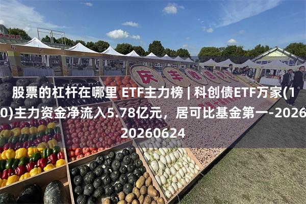 股票的杠杆在哪里 ETF主力榜 | 科创债ETF万家(159110)主力资金净流入5.78亿元，居可比基金第一-20260624