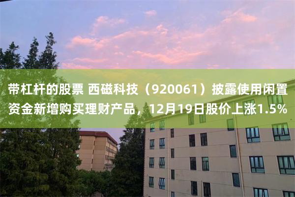 带杠杆的股票 西磁科技（920061）披露使用闲置资金新增购买理财产品，12月19日股价上涨1.5%