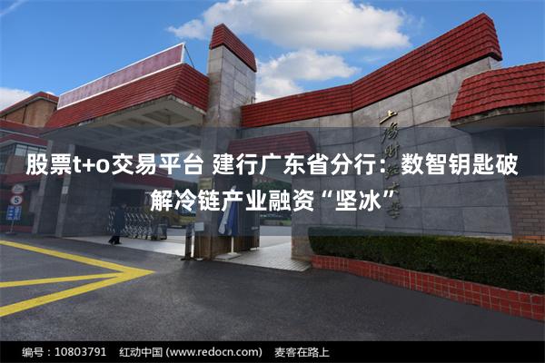 股票t+o交易平台 建行广东省分行：数智钥匙破解冷链产业融资“坚冰”