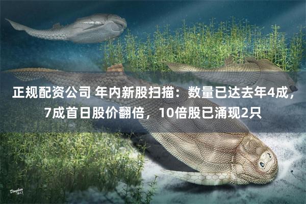 正规配资公司 年内新股扫描：数量已达去年4成，7成首日股价翻倍，10倍股已涌现2只
