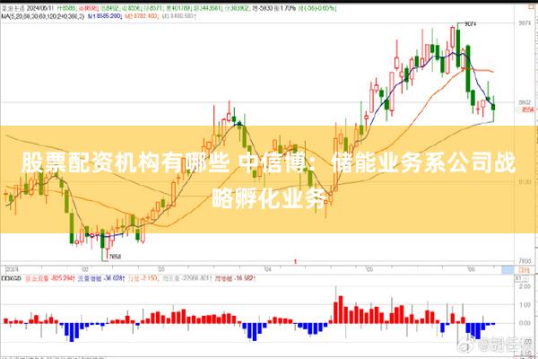 股票配资机构有哪些 中信博:储能业务系公司战略孵化业务