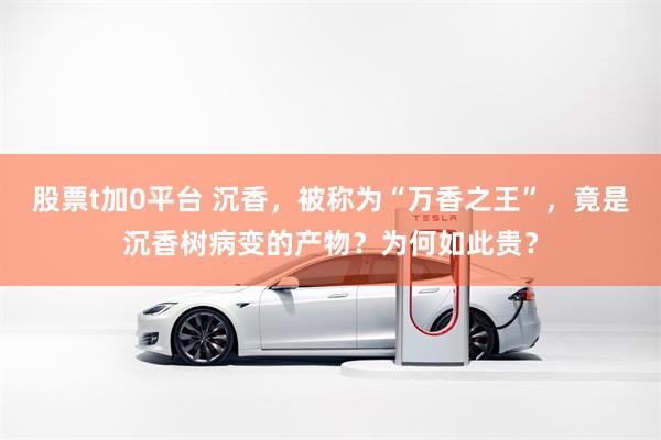 股票t加0平台 沉香,被称为“万香之王”,竟是沉香树病变的产物?为何如此贵?