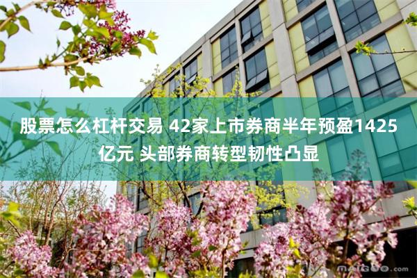股票怎么杠杆交易 42家上市券商半年预盈1425亿元 头部券商转型韧性凸显
