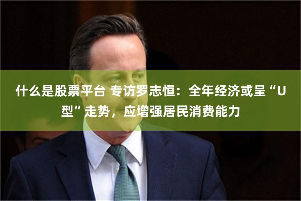 什么是股票平台 专访罗志恒：全年经济或呈“U型”走势，应增强居民消费能力