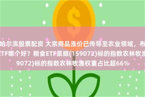 哈尔滨股票配资 大宗商品涨价已传导至农业领域，布局农业板块农业ETF哪个好？粮食ETF景顺(159072)标的指数农林牧渔权重占比超66%